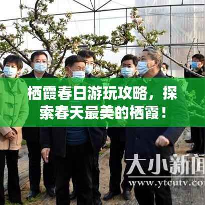 貌美如花 第3页