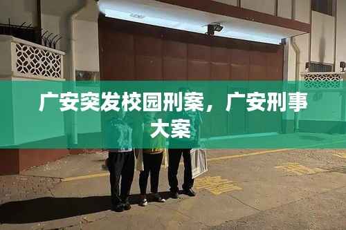 广安突发校园刑案,广安刑事大案