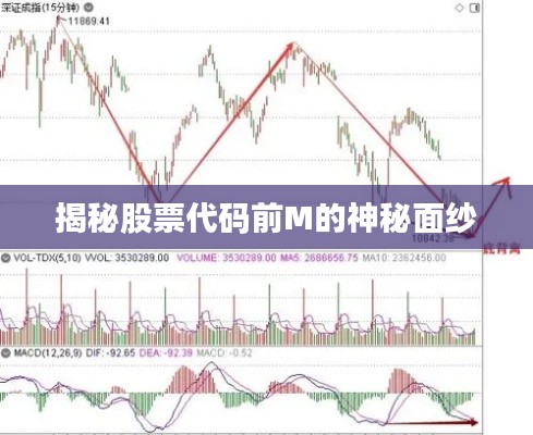 揭秘股票代码前M的神秘面纱