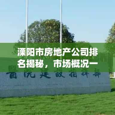 溧阳市房地产公司排名揭秘,市场概况一网打尽!