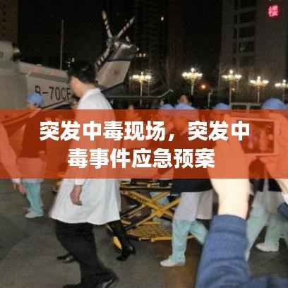 突发中毒现场，突发中毒事件应急预案 