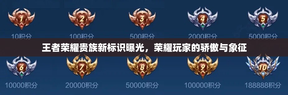 王者荣耀贵族新标识曝光,荣耀玩家的骄傲与象征