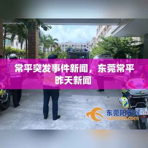 常平突发事件新闻,东莞常平昨天新闻