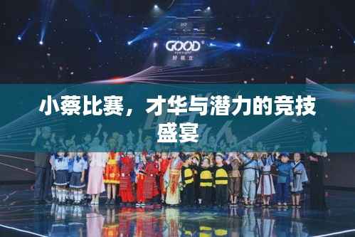 小蔡比赛,才华与潜力的竞技盛宴