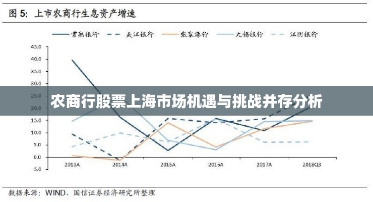 农商行股票上海市场机遇与挑战并存分析