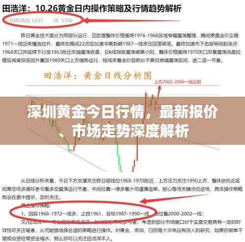 深圳黄金今日行情,最新报价、市场走势深度解析