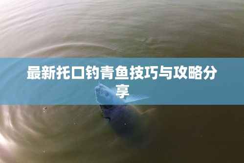 最新托口钓青鱼技巧与攻略分享
