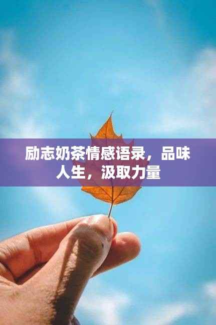 励志奶茶情感语录,品味人生,汲取力量