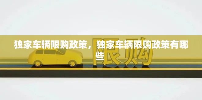独家车辆限购政策,独家车辆限购政策有哪些