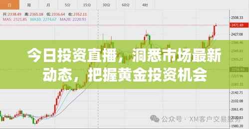 今日投资直播,洞悉市场最新动态,把握黄金投资机会