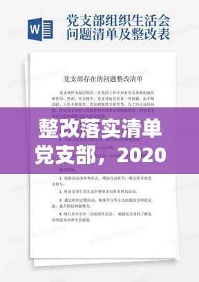 整改落实清单党支部,2020年度党支部整改清单