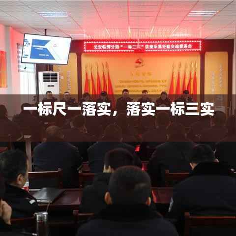 一标尺一落实,落实一标三实