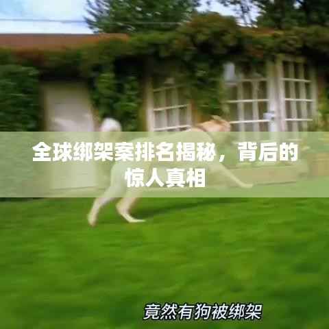 全球绑架案排名揭秘,背后的惊人真相