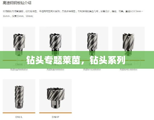 钻头专题莱茵,钻头系列