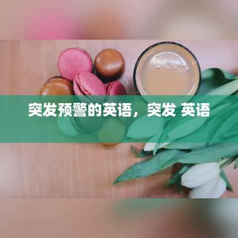 突发预警的英语,突发 英语