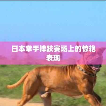 日本拳手摔跤赛场上的惊艳表现