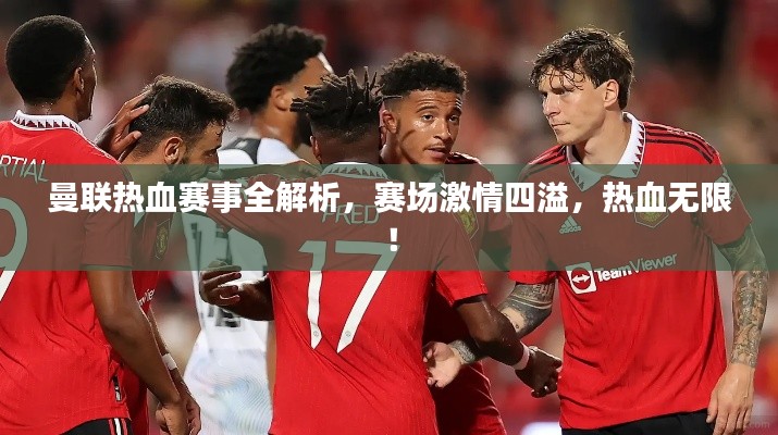 曼联热血赛事全解析，赛场激情四溢，热血无限！