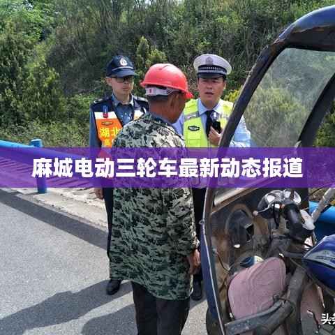 麻城电动三轮车最新动态报道