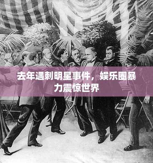 去年遇刺明星事件,娱乐圈暴力震惊世界