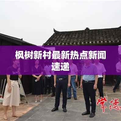 枫树新村最新热点新闻速递